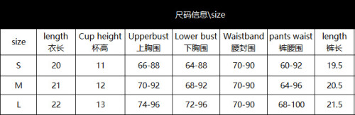 Black Lace-Up Hollow Bodysuit Sexy Lingerie Set