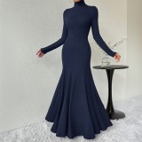 High Collar Chic Slim Long Sleeve Maxi Dress