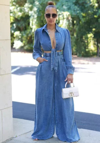 Casual Tie Front Crop Top and Wide-leg Pants Denim Two-piece Set