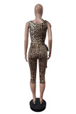 Leopard Stretchy Tie Waist Crop Pants Two Piece Set