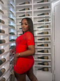 See-Through Sexy Fishnet Sexy Bodycon Dress
