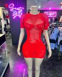 See-Through Sexy Fishnet Sexy Bodycon Dress