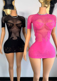 See-Through Sexy Fishnet Sexy Bodycon Dress