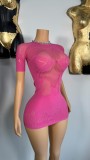 See-Through Sexy Fishnet Sexy Bodycon Dress