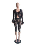 Sexy Solid Hollow See Through Lace Two-Piece Shorts Set