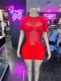 See-Through Sexy Fishnet Sexy Bodycon Dress