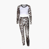 Leopard Patchwork Sexy Long Sleeve Crop Top & Pants Slim 2PCS Set