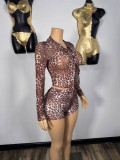 Sexy Long Sleeve Leopard Shirt Top and Shorts Two Piece Set
