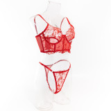 See-Through Lace Hollow Fishbone Bra Pantie Sexy Lingerie Two-piece Set