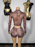 Sexy Long Sleeve Leopard Shirt Top and Shorts Two Piece Set
