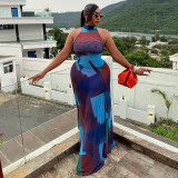 Trendy Print Halter Low Back Sleeveless Maxi Dress