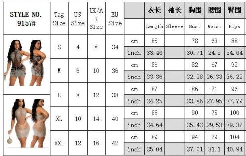 See Through Mesh Sequin Club Dress