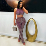 Mock Neck Sexy Sleeveless Crop Top and Tight Pants Two Piece Set