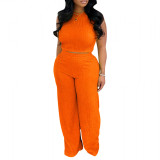 Sexy Tank Crop Top and Pleated Pants Two Piece Set