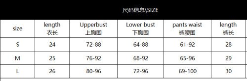 Leopard Sexy Lingerie Set