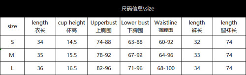 Long Sleeve Lace Garter Lingerie Set with Stockings