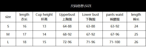 Black See-Through Eyelash Lace Underwired Push-Up Bra Pantie Lingerie Set