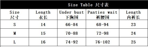 Sexy Underwired Leopard See Through Bra Thong Two Piece Lingerie