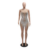 Sexy See Through Mesh Sequin Tassel Club Dress