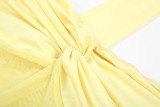 Halter Twist Mesh Patchwork Ruched Ribbon Sexy Maxi Dress