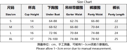 Sexy Lingerie Embroidered Lace Underwired Bra and Pantie Garter Lingerie Set Underwear