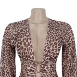 Sexy Leopard Print Mesh Deep-V Neck Slit Maxi Dress