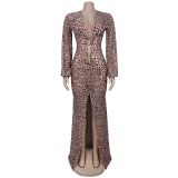 Sexy Leopard Print Mesh Deep-V Neck Slit Maxi Dress