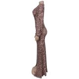 Sexy Leopard Print Mesh Deep-V Neck Slit Maxi Dress