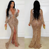Sexy Leopard Print Mesh Deep-V Neck Slit Maxi Dress