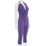 Cowl Neck Metal Decor Halter Crop Top and Capri Pants Two Piece Set
