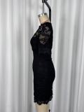 Chic Sexy V-Neck See-Through Lace Bodycon Dress