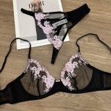 Women's Plus Size Lace Embroidered See-through Bra & Pantie Set