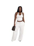 Street Solid Halter Crop Top & High Waist Wide Leg Pants Set