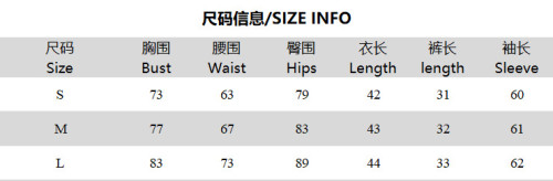 Fashion Print Mesh See-Through Long Sleeve Zipper Top & Shorts 2PCS Set