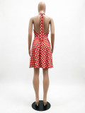 Fashion Polka Dot Halter Low Back Dress