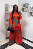 Print Fashion Long Sleeve Maxi Dress