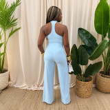 Solid Halter Sleeveless Top & Straight Leg Pants Two Piece Set
