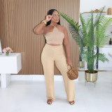 Solid Halter Crop Top Two Piece Pants Set