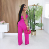 Solid Halter Crop Top Two Piece Pants Set