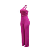 Solid Halter Crop Top Two Piece Pants Set