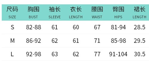 Fashion Two Piece Set Striped Long Sleeve Turndown Collar Shirt Top Bodycon Short Skirt