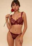 Sexy Lingerie Underwired Bra Thong Sexy French Eyelash Lace See-Through Underwear