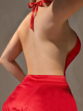 Sexy Lingerie Red Lace Mesh Backless Dress with Thong