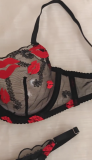 Sexy Red Lip Embroidered See-through Lace Underwire Push-up Bra Set