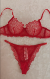 Red Embroidered French Bra See-Through Sexy Thong Lingerie Set