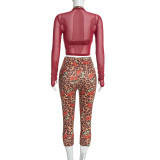 Leopard Print Tank Top and Long Sleeve Sheer Top and Slim Capri Pants Three Piece Set