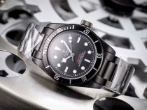 チュードル（TUDOR ）メンズ 時計 43mm 自動巻き 腕時計 TUD-TSH500-37