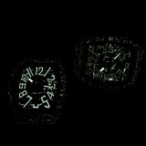 フランクミュラー 腕時計 最高級時計 夜光功能 メンズ FM-TSH1600-29