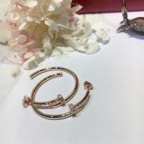 Cartier（カルティエ ）2019新作 ピアス イアリング YY-19P110-CA112