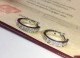 Cartier（カルティエ ）2019新作 ピアス イアリング YX-19P65-CA128